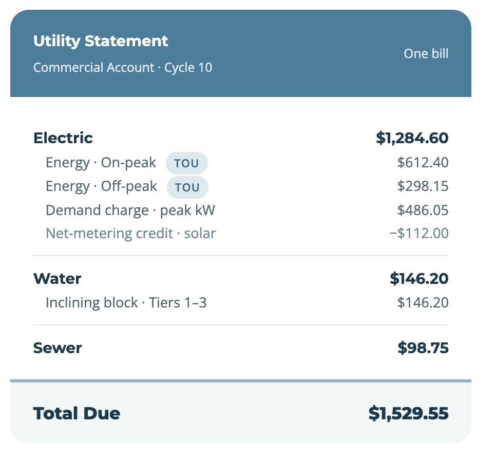 Mock Utility Statement